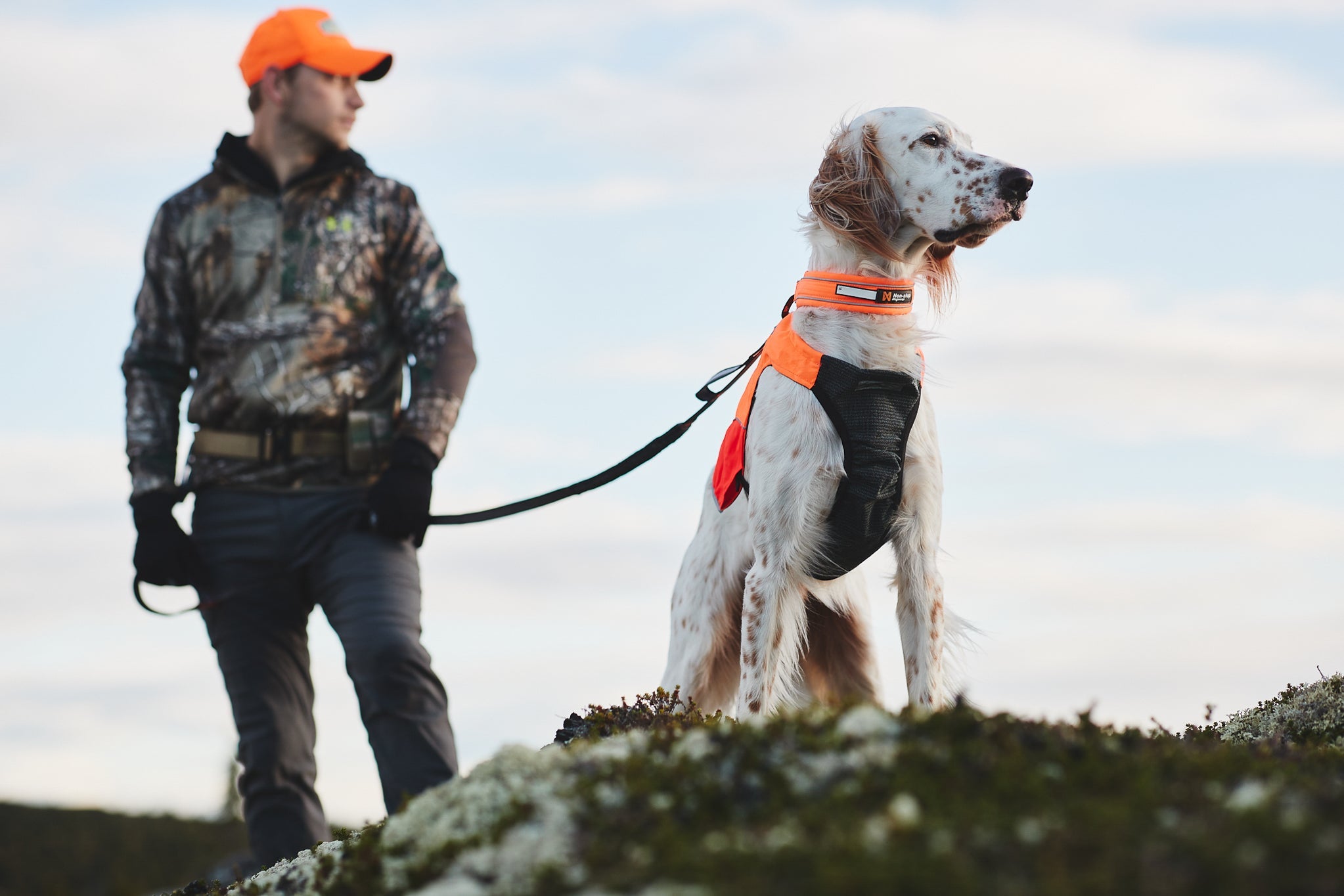 Protector Vest (Non - Stop Dogwear) - SnowPaw Store - Non - Stop Dogwear - Dog Apparel